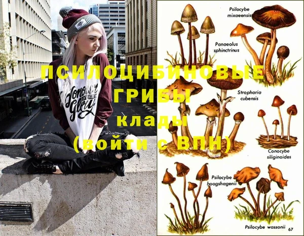 mix Заводоуковск